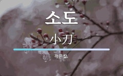 소도 뜻: 작은 칼.