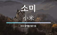 소미 뜻: 조의 열매를 찧은 쌀.
