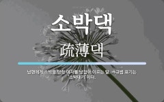 소박댁 뜻: 남편에게 소박을 당한 여자를 낮잡아 이르는 말. ⇒규범 표기는 ‘소박데기’이다.