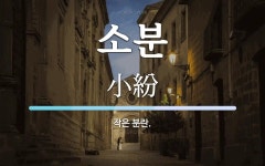소분 뜻: 작은 분란.