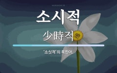 소시적 뜻: ‘소싯적’의 북한어.