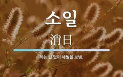 소일 뜻: 하는 일 없이 세월을 보냄.