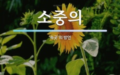 소중의 뜻: ‘속곳’의 방언