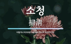 소청 뜻: 더럽거나 어지러운 것을 쓸고 닦아서 깨끗하게 함.