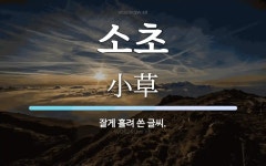 소초 뜻: 잘게 흘려 쓴 글씨.
