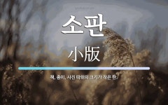 소판 뜻: 책, 종이, 사진 따위의 크기가 작은 판.