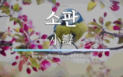 소판 뜻: 화본과 식물에서 내화영의 위쪽을 이르는 말.