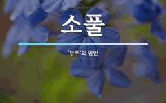 소풀 뜻: ‘부추’의 방언
