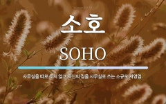 소호 뜻: 사무실을 따로 두지 않고 자신의 집을 사무실로 쓰는 소규모 자영업. 소호 뜻: 사무실을 따로 두지 않고 자신의 집을 사무실로 쓰는... 