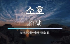 소호 뜻: 늪과 호수를 아울러 이르는 말.
