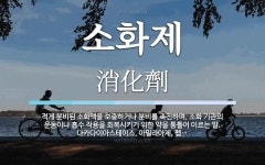 소화제 뜻: 적게 분비된 소화액을 보충하거나 분비를 촉진하며, 소화 기관의 운동이나 흡수 작용을 회복시
