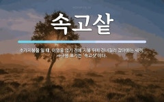 속고샅 뜻: 초가지붕을 일 때, 이엉을 얹기 전에 지붕 위에 건너질러 잡아매는 새끼. ⇒규범 표기는 ‘