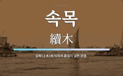 속목 뜻: 상목(上木)에 비하여 품질이 낮은 무명.