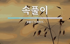 속풀이 뜻: ‘분풀이’의 북한어.