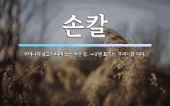 손칼 뜻: 주머니에 넣고 다니며 쓰는 작은 칼. ⇒규범 표기는 ‘주머니칼’이다.