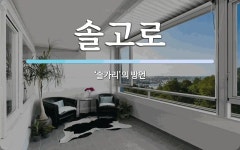 솔고로 뜻: ‘솔가리’의 방언