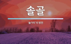 솔골 뜻: ‘솔가리’의 방언