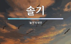솔기 뜻: ‘솔개’의 방언