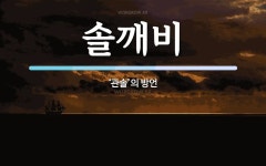 솔깨비 뜻: ‘관솔’의 방언