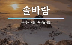 솔바람 뜻: 소나무 사이를 스쳐 부는 바람.