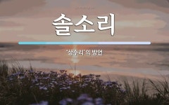 솔소리 뜻: ‘상수리’의 방언