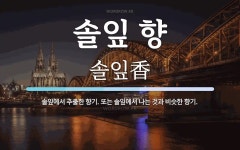 솔잎 향 뜻: 솔잎에서 추출한 향기. 또는 솔잎에서 나는 것과 비슷한 향기.