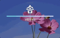 솜 뜻: ‘효험’의 방언