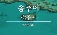 송추이 뜻: ‘송충이’의 방언