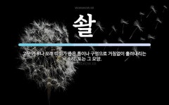 솰 뜻: 고운 가루나 모래 따위가 좁은 틈이나 구멍으로 거침없이 흘러내리는 소리. 또는 그 모양.