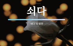 쇠다 뜻: ‘새다’의 방언