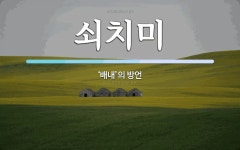 쇠치미 뜻: ‘배내’의 방언