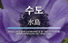수도 뜻: 전라남도 신안군 임자면 수도리에 속하는 섬. 쌀ㆍ보리ㆍ고구마 따위를 생산하며 미역 양식도 수도 뜻: 전라남도 신안군 임자면 수도리에... 