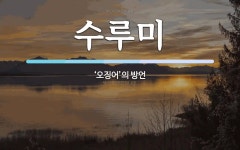 수루미 뜻: ‘오징어’의 방언