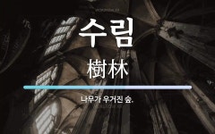 수림 뜻: 나무가 우거진 숲.