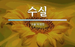 수실 뜻: ‘수술’의 방언