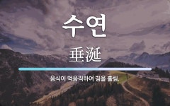 수연 뜻: 음식이 먹음직하여 침을 흘림.