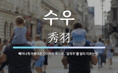 수우 뜻: 빼어나게 아름다운 깃이라는 뜻으로, ‘공작우’를 달리 이르는 말.