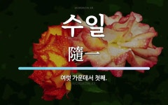 수일 뜻: 여럿 가운데서 첫째.