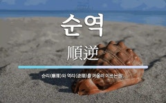 순역 뜻: 순리(順理)와 역리(逆理)를 아울러 이르는 말.
