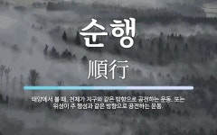 순행 뜻: 태양에서 볼 때, 천체가 지구와 같은 방향으로 공전하는 운동. 또는 위성이 주 행성과 같은
