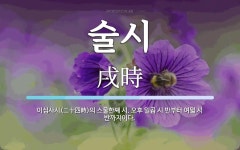 술시 뜻: 이십사시(二十四時)의 스물한째 시. 오후 일곱 시 반부터 여덟 시 반까지이다.