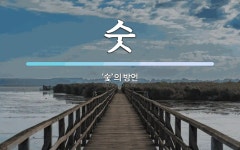 숫 뜻: ‘숯’의 방언