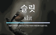 슬릿 뜻: 서양식 의복에서, 윗도리나 스커트 따위의 아랫단에 터 놓은 아귀.
