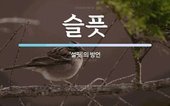 슬픗 뜻: ‘설핏’의 방언