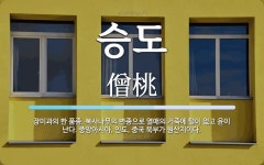 승도 뜻: 장미과의 한 품종. 복사나무의 변종으로 열매의 거죽에 털이 없고 윤이 난다. 중앙아시아, 승도 뜻: 장미과의 한 품종. 복사나무의... 