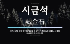 시금석 뜻: 가치, 능력, 역량 따위를 알아볼 수 있는 기준이 되는 기회나 사물을 비유적으로 이르는 말