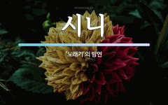 시니 뜻: ‘노래기’의 방언