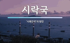시락국 뜻: ‘시래깃국’의 방언
