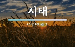 시태 뜻: 소의 등 위에 실은 짐.