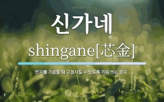 신가네 뜻: 반지를 가공할 때 고정시킬 수 있도록 끼워 쓰는 공구. 신가네 뜻: 반지를 가공할 때 고정시킬 수 있도록 끼워 쓰는 공구. 